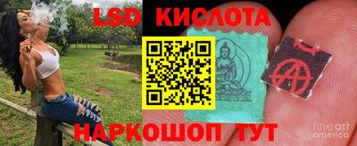 гидропоника Аргун